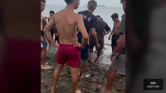 哈兰德射门,绝技,一次触球胜,博鱼平台,博鱼娱乐,博鱼网页版,在线娱乐,体育平台